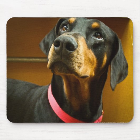 Dobermann Mousepad (Vorne)