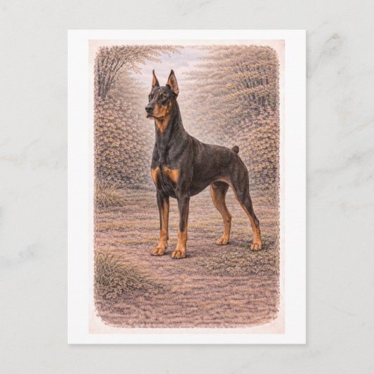 Dobermann Pinscher im Vintage-Stil Postkarte (Vorderseite)