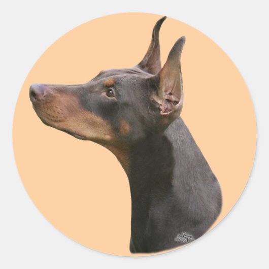 Dobermann Pinscher Kopf-rot/schwarz Sticker (Vorderseite)