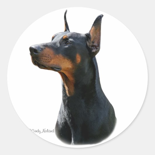 Dobermann Pinscher Kopfschwarz Sticker (Vorderseite)