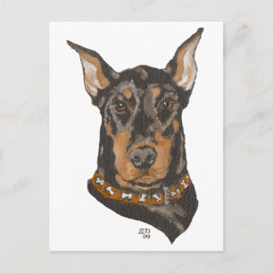Dobermann Pinscher Kopfstudie Postkarte