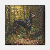 Dobermann Pinscher Magnet (Vorne)