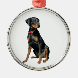 Dobermann Pinscher (natürlich) Silbernes Ornament