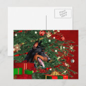 Dobermann Pinscher Weihnachten (Vorne/Hinten)