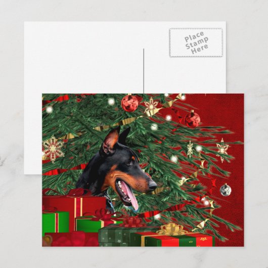 Dobermann Pinscher Weihnachten (Vorne/Hinten)