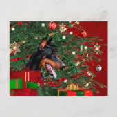 Dobermann Pinscher Weihnachten (Vorderseite)