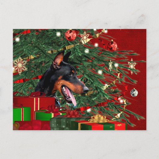 Dobermann Pinscher Weihnachten (Vorderseite)
