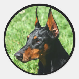 Dobermann Pinscheraufkleber Runder Aufkleber