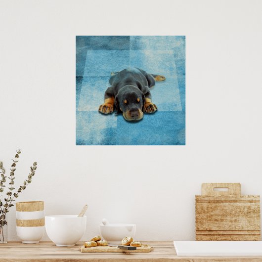 Dobermann Puppy - Doberman Pinscher Poster (Küche)