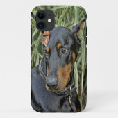Dobermann-Schmetterlings-Überraschung Case-Mate iPhone Hülle (Rückseite)