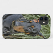 Dobermann-Schmetterlings-Überraschung Case-Mate iPhone Hülle (Rückseite (Horizontal))