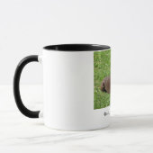 Dobermann: Schönheit, Anmut und Power Tasse (Links)