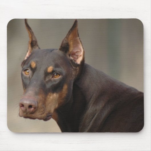 Dobermann-Schutz Mousepad (Vorne)