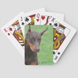 Dobermann Spielkarten