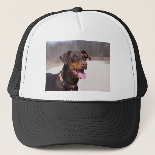 Dobermann Truckerkappe (Vorderseite)