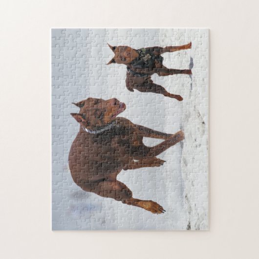 Dobermann und Minuten-Button - BLICK! Ein Mini Puzzle (Vertikal)