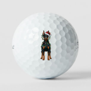 Dobermann Weihnachtsmann Hut Weihnachtsbeleuchtung Golfball