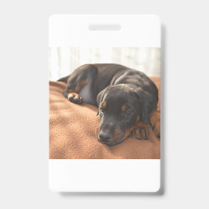 Dobermann-Welpe Ausweis