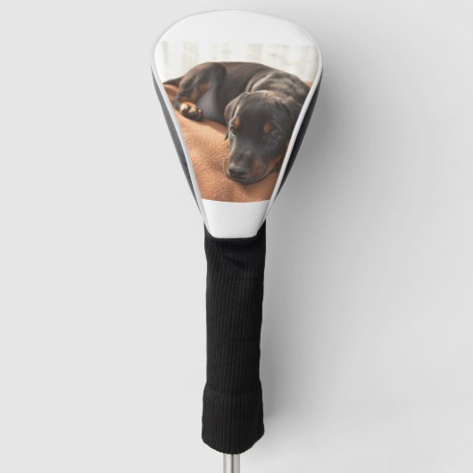 Dobermann-Welpe Golf Headcover (Vorderseite)
