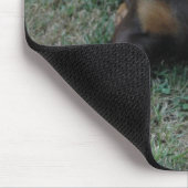 Dobermann-Welpe mousepad (Ecke)