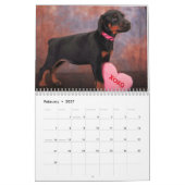 Dobermann-Welpen-Kalender 2013 Kalender (Feb 2027)