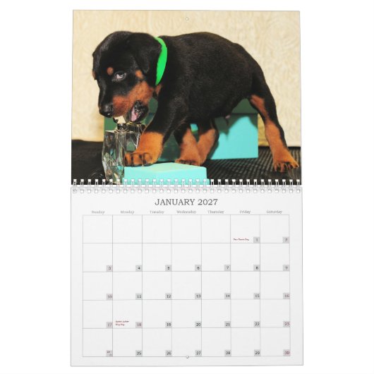 Dobermann-Welpen-Kalender 2013 Kalender (Jan 2027)