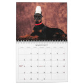Dobermann-Welpen-Kalender 2013 Kalender (Mär 2027)