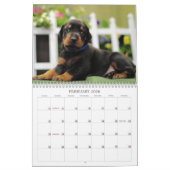 Dobermann-Welpen-Kalender 2013 Kalender (Feb 2026)