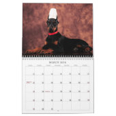 Dobermann-Welpen-Kalender 2013 Kalender (Mär 2026)