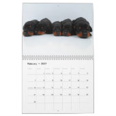 Dobermann-Welpen-Kalender aktualisierte 2012 Kalender (Feb 2027)