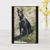 Dobermanngrußkarte Karte (Gelbe Blume)