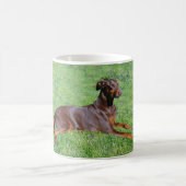 Dobermannhund Kaffeetasse (Mittel)