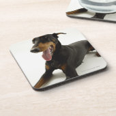 DobermannPinscher 2 Getränkeuntersetzer (Linke Seite)