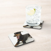 DobermannPinscher 2 Getränkeuntersetzer (Rechte Seite)