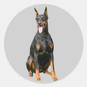 Dobermannpinscher-Aufkleber Runder Aufkleber