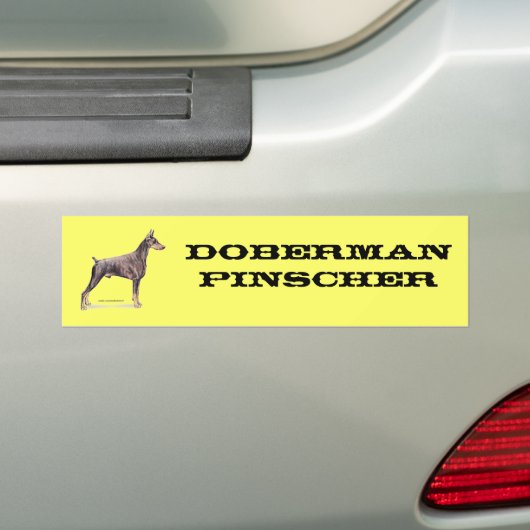 DobermannPinscher Autoaufkleber (Auf Auto)