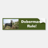 Dobermannpinscher-Autoaufkleber Autoaufkleber (Vorne)