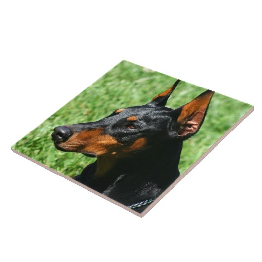 DobermannPinscher Fliese (Seite)
