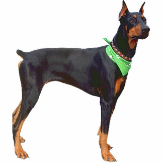 DobermannPinscher Freistehende Fotoskulptur