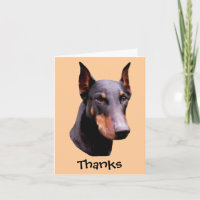 Dobermannpinscher-Gesichts-Hund danken Ihnen zu