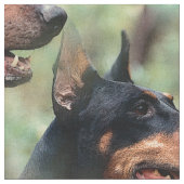DobermannPinscher im Holz Stoff (Nahaufnahme)