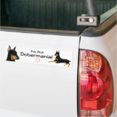 Dobermannpinscher-Liebe-Autoaufkleber Autoaufkleber (Auf Lkw)