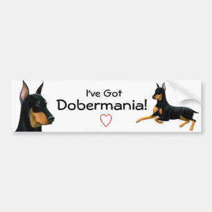 Dobermannpinscher-Liebe-Autoaufkleber Autoaufkleber
