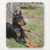 DobermannPinscher Mousepad (Vorne)