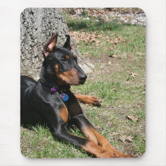 DobermannPinscher Mousepad (Vorne)