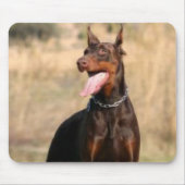 DobermannPinscher Mousepad (Vorne)