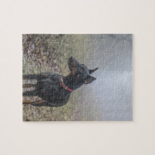 DobermannPinscher Puzzle (Horizontal)