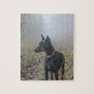 DobermannPinscher Puzzle