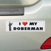 Dobermannpinscher-(Schwarzes und TAN) Autoaufkleber (Auf Auto)