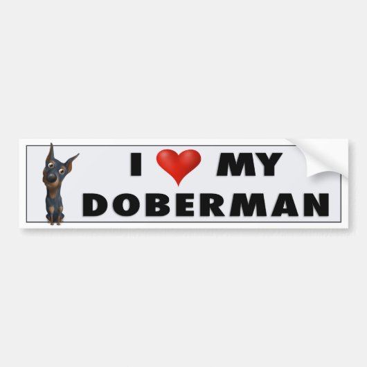 Dobermannpinscher-(Schwarzes und TAN) Autoaufkleber (Vorne)